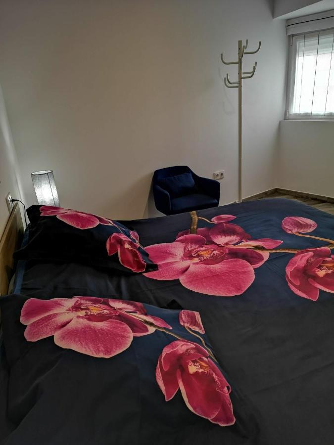 Apartamento Ibanez Benidorm Exteriör bild